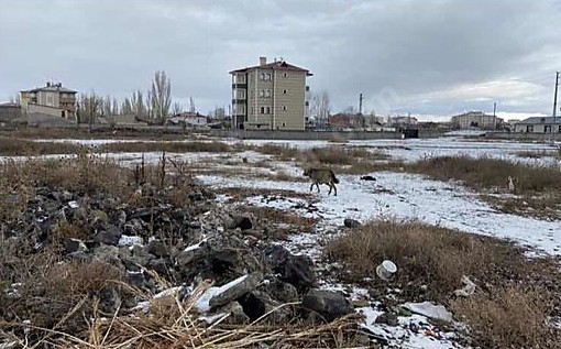 KARS MERKEZ HALİTPAŞA MAHALLESİ’NDE 1.804 M² TARLA SATILIKTIR - KARS MERKEZ fotoğraf 6